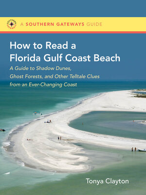 cover image of How to Read a Florida Gulf Coast Beach